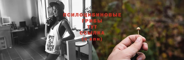 mdpv Алзамай