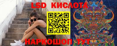 СК Краснодар