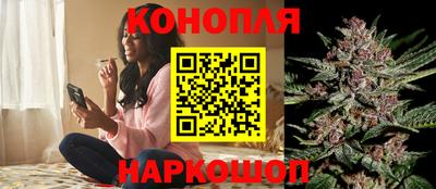прущие грибы Краснокаменск