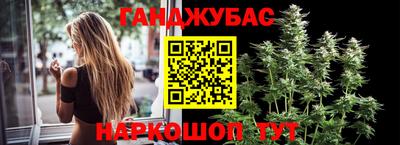 СК Краснодар
