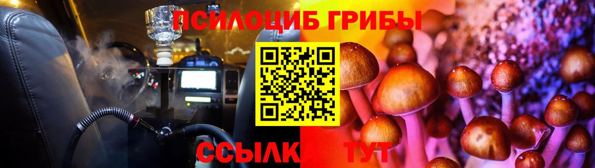 Псилоцибиновые грибы прущие грибы Звенигород
